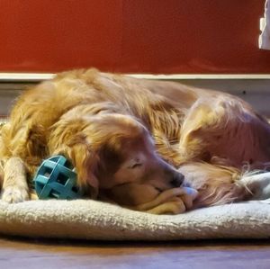 Meet your Posher, Laurie